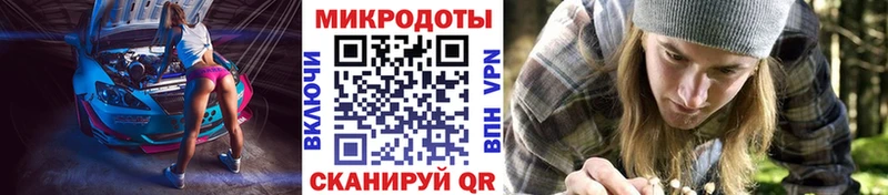 Галлюциногенные грибы GOLDEN TEACHER  Купить где  Гусиноозёрск 