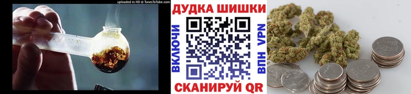 Марихуана сатива  Купить закладки  Гусиноозёрск 